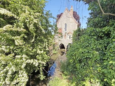 Picture 23